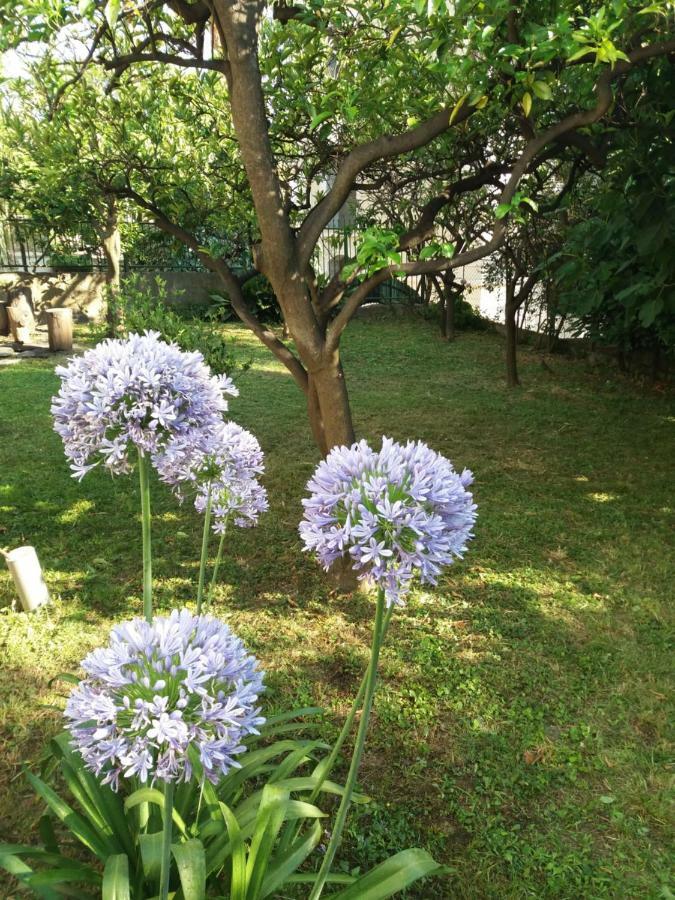 Vila Skala Herceg Novi Eksteriør billede